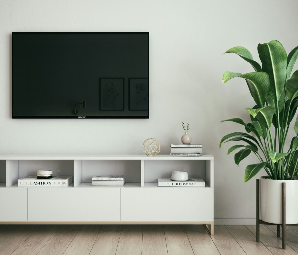  TV mounting service in Billings, Montana
